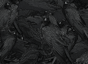 Men's Raven Leggings